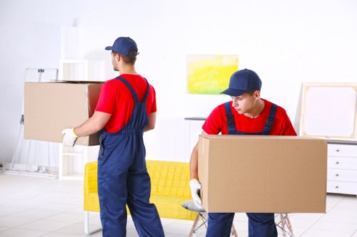 Professional house removals planning for a Downham home move