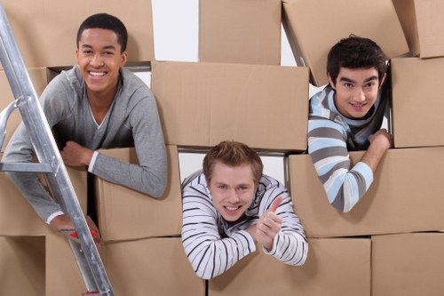 Local moving van supporting flat and house removals in Downham