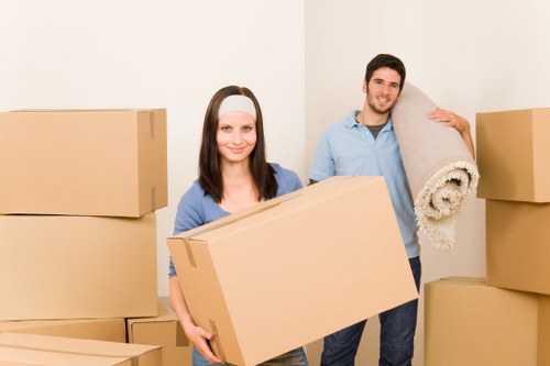 Flexible man with van transport in Downham for practical moving needs